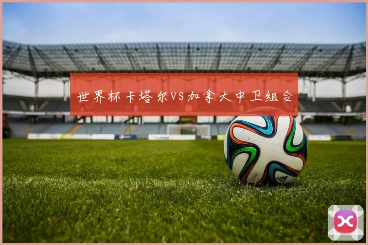 世界杯卡塔尔vs加拿大中卫组合