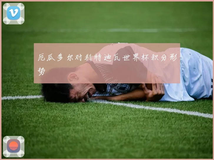 厄瓜多尔对科特迪瓦世界杯积分形势