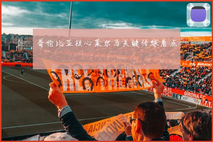 哥伦比亚核心莱尔马关键传球看点