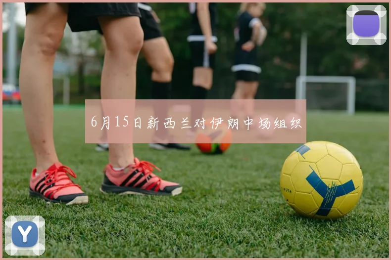 6月15日新西兰对伊朗中场组织