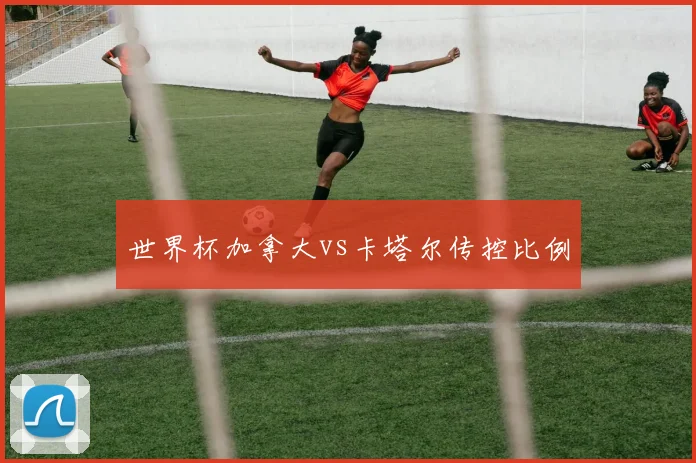 世界杯加拿大vs卡塔尔传控比例