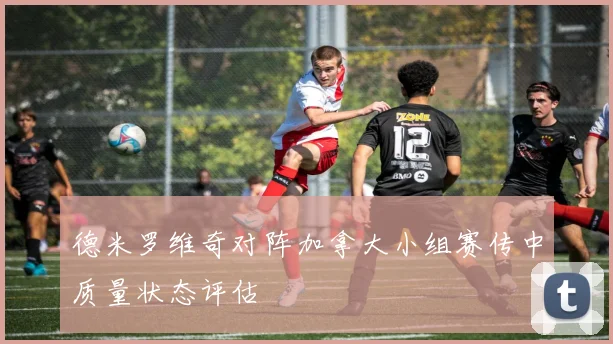 德米罗维奇对阵加拿大小组赛传中质量状态评估