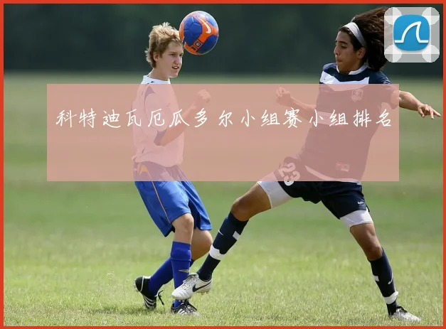 科特迪瓦厄瓜多尔小组赛小组排名