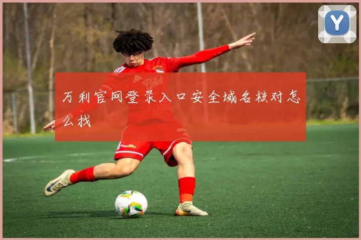 万利官网登录入口安全域名核对怎么找
