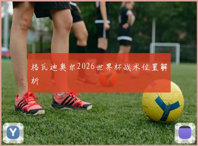 格瓦迪奥尔2026世界杯战术位置解析