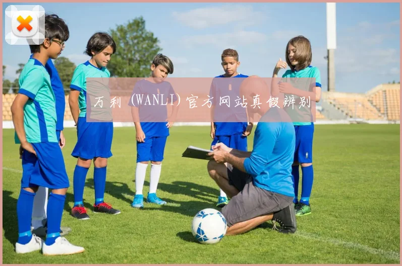 万利 (WANLI)官方网站真假辨别