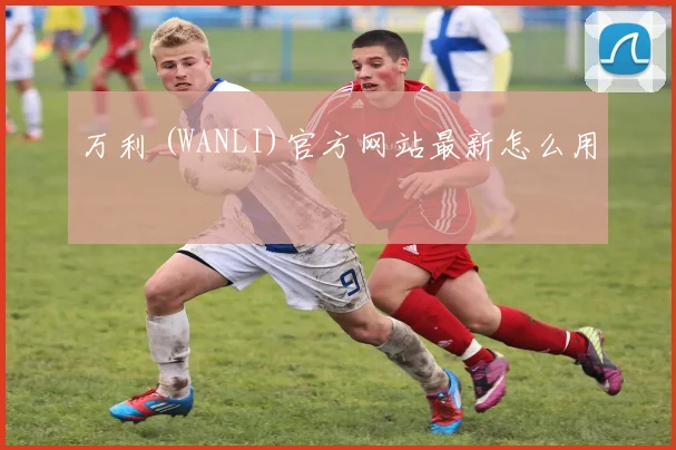 万利 (WANLI)官方网站最新怎么用