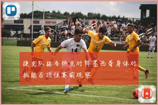 捷克队赫洛热克对阵墨西哥身体对抗能否顶住赛前观察